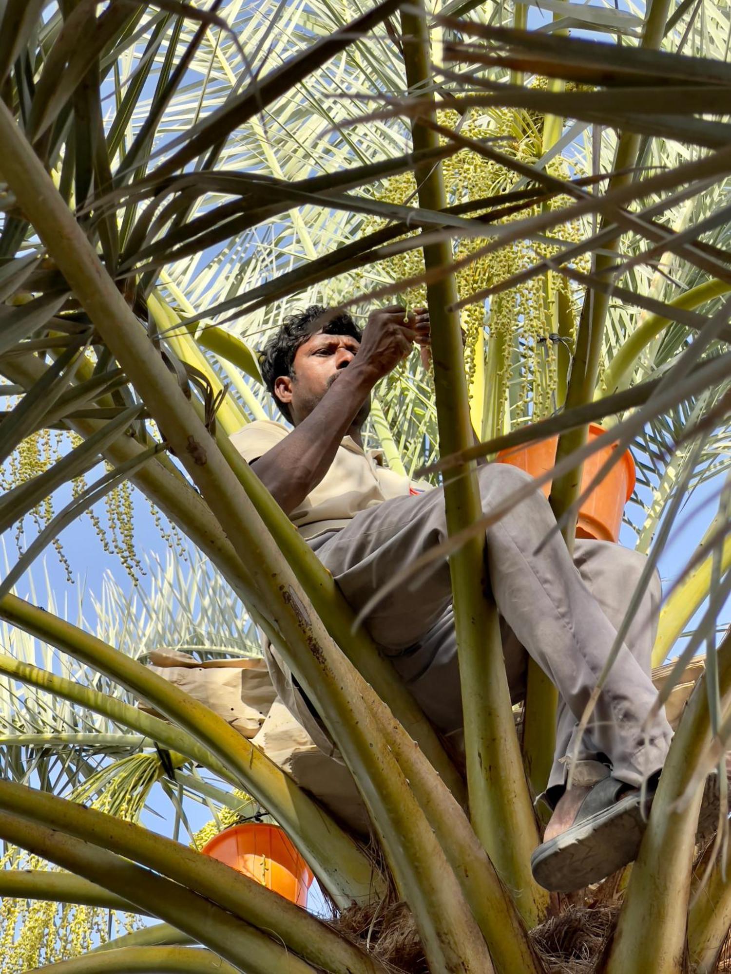 فندق Liwa Nights ليالي ليوا المظهر الخارجي الصورة