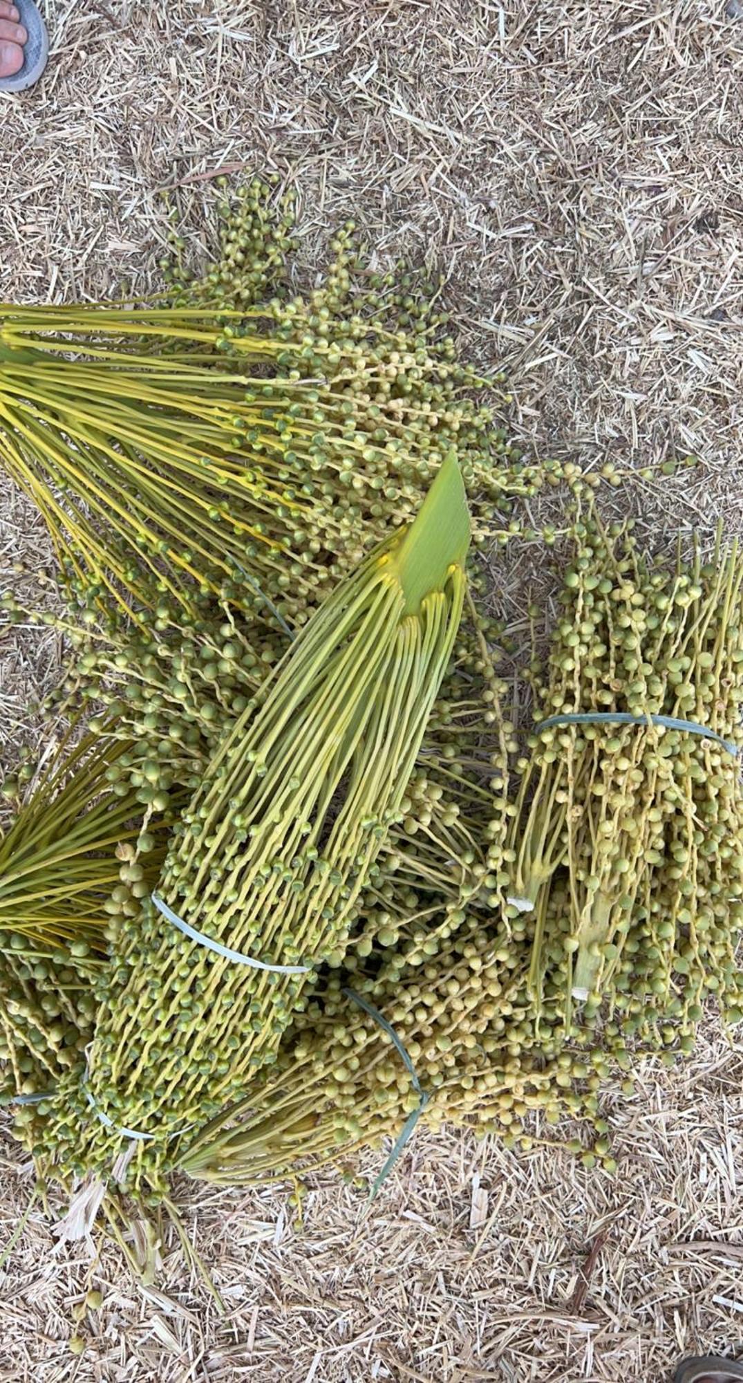 فندق Liwa Nights ليالي ليوا المظهر الخارجي الصورة