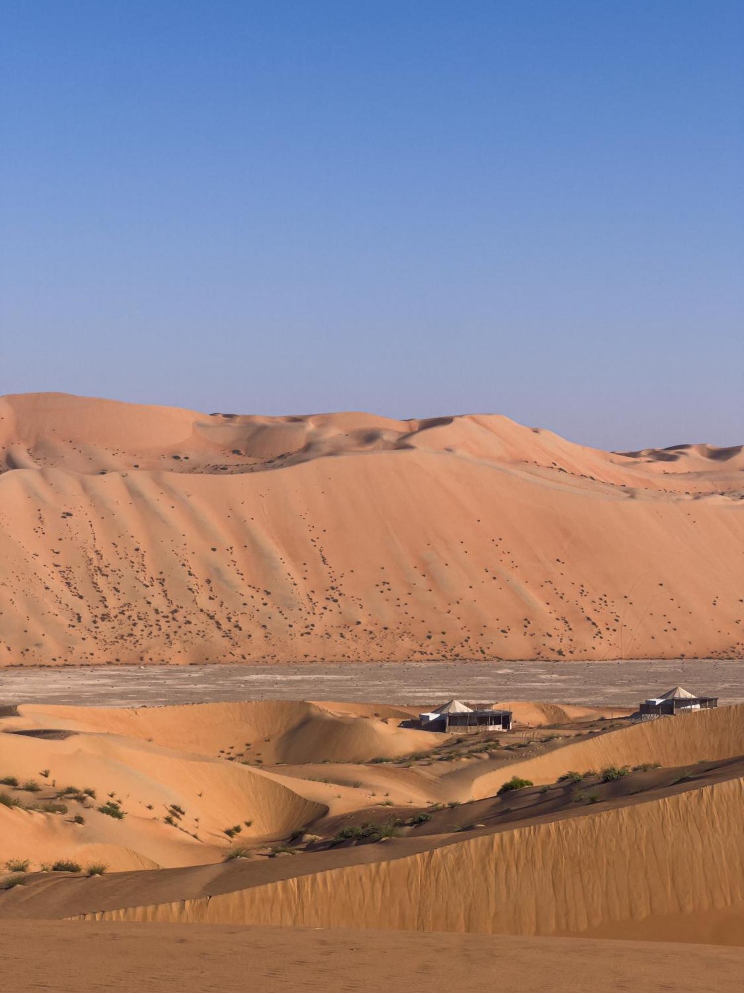 فندق Liwa Nights ليالي ليوا المظهر الخارجي الصورة